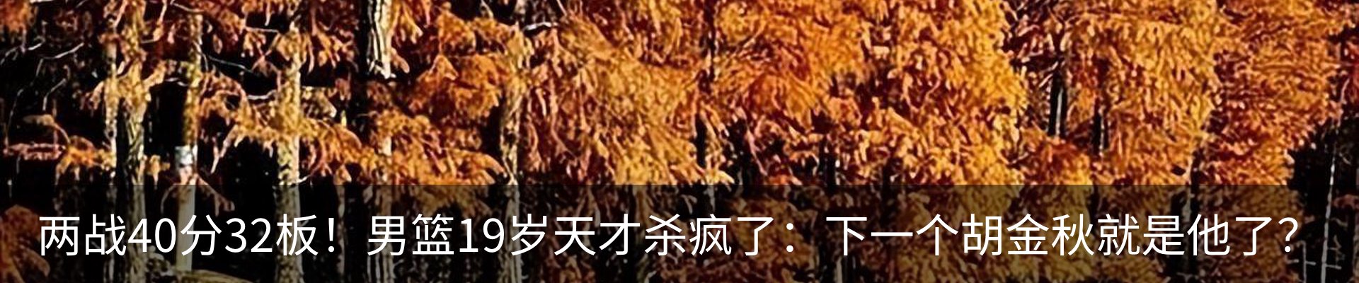 内页banner